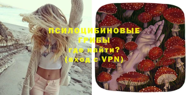крисы Алексеевка