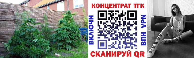 дарк нет официальный сайт  Катайск  Дистиллят ТГК Wax 