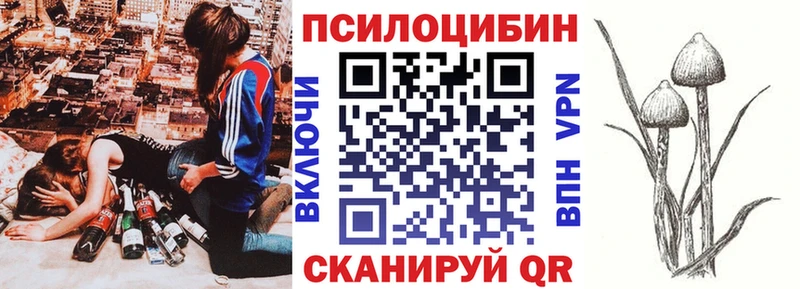 Псилоцибиновые грибы мицелий  Катайск 
